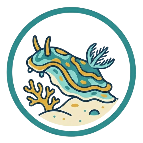 Nudibranch