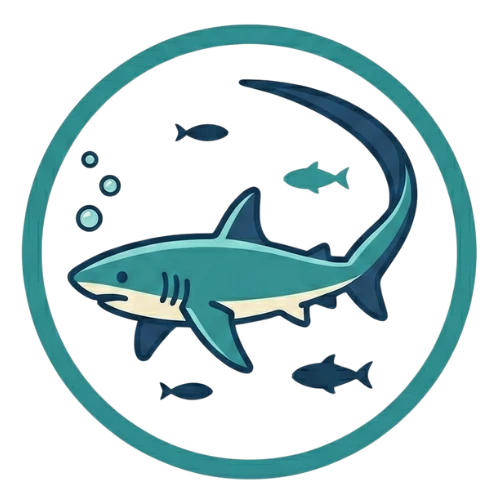 Thresher Shark